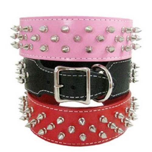  Dog Collars